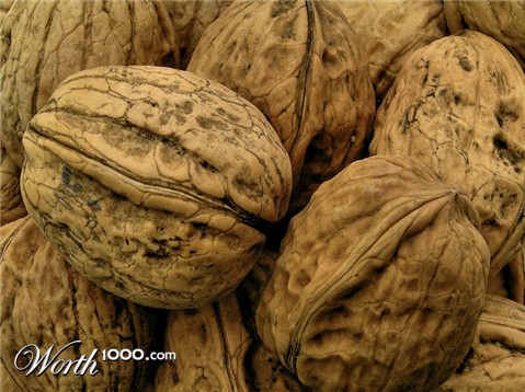 Photography by ercolano