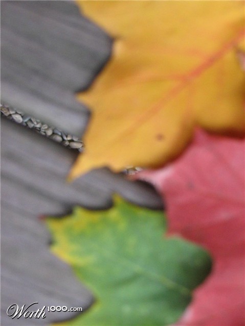 Photography by clb1122