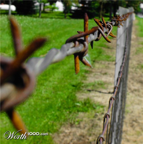 Photography by zoomtictac