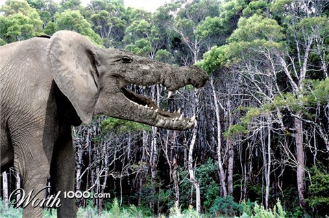 Photoshop Design by plontonious