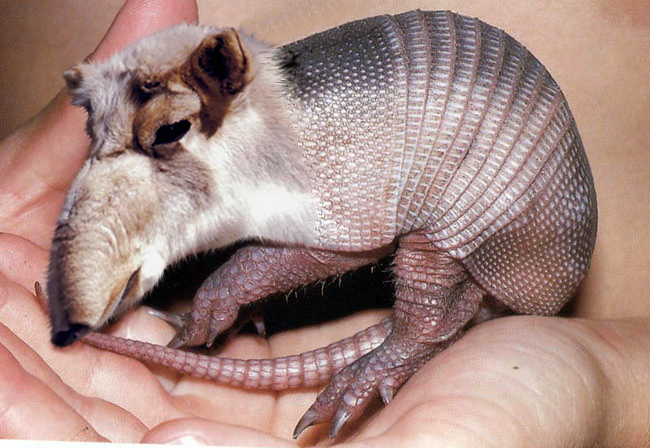 Photoshop Design by argosaries for DesignCrowd (Community Contests) | Design #8993421