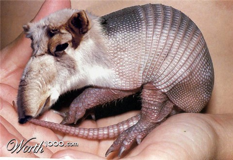 Photoshop Design by argosaries