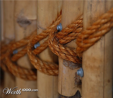 Photography by gymp93