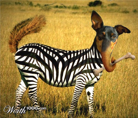 Photoshop Design by CraigMc