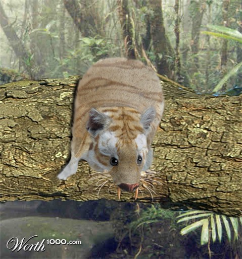 Photoshop Design by bwhitaker