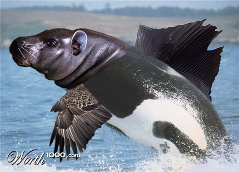 Photoshop Design by rayjensen123