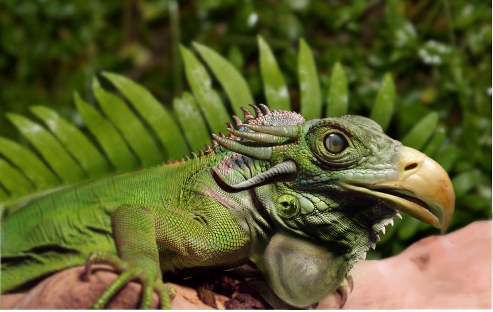 Design Photoshop par apsanchez pour DesignCrowd (Community Contests) | Design #8993500