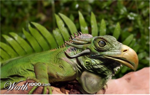 Photoshop Design by apsanchez