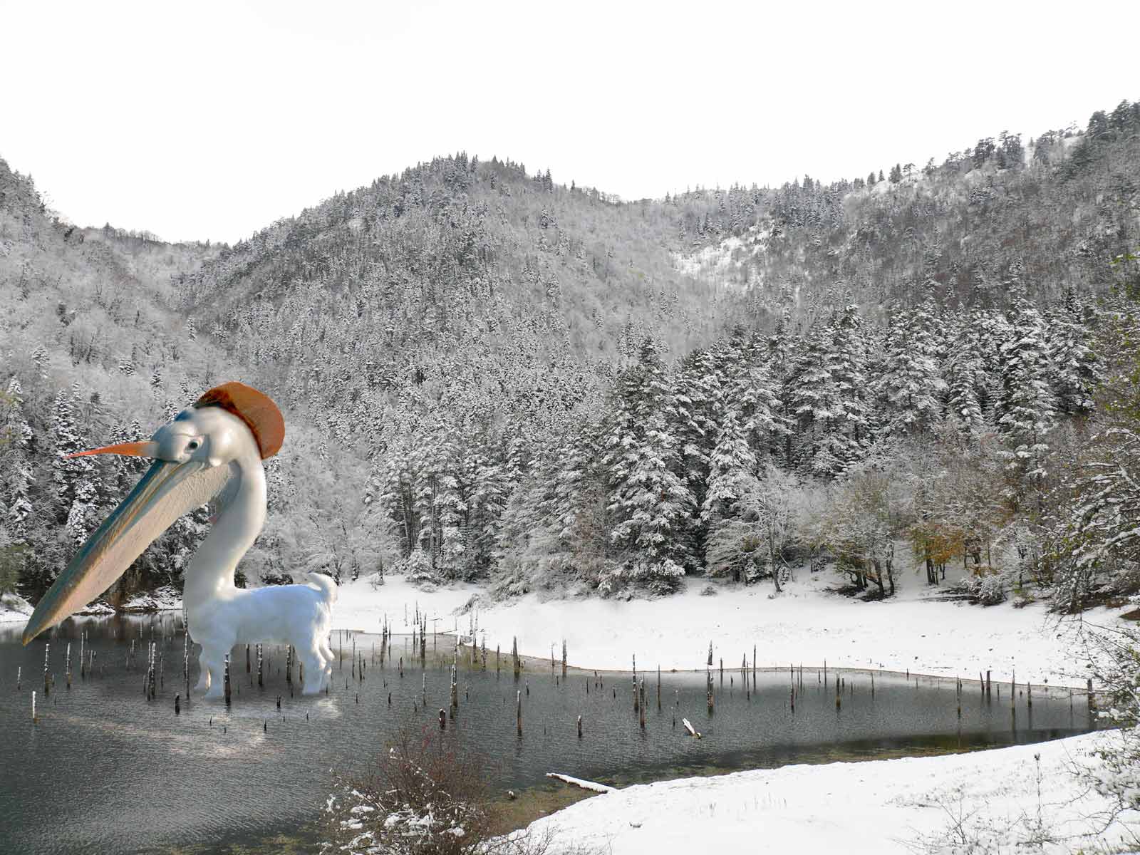 Photoshop-Design von deerreaper für DesignCrowd (Community Contests) | Design #8993458