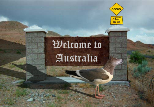 Photoshop Design by vykkdraygo for DesignCrowd (Community Contests) | Design #8993490