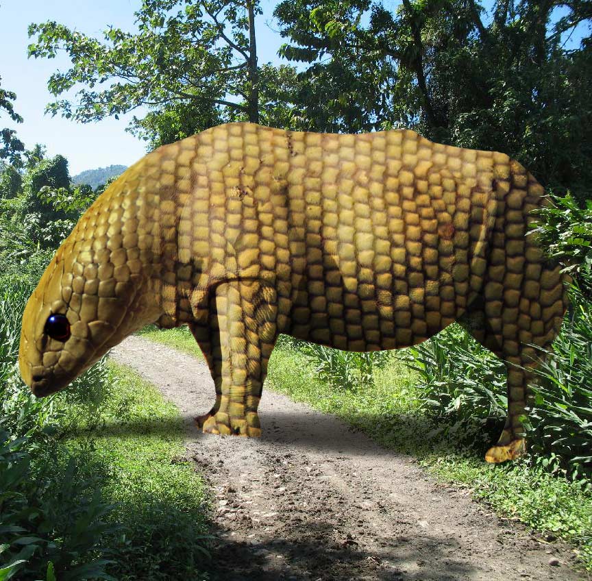 Photoshop Design by sunnythekid for DesignCrowd (Community Contests) | Design #8993481