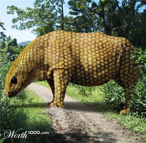 Photoshop Design by sunnythekid