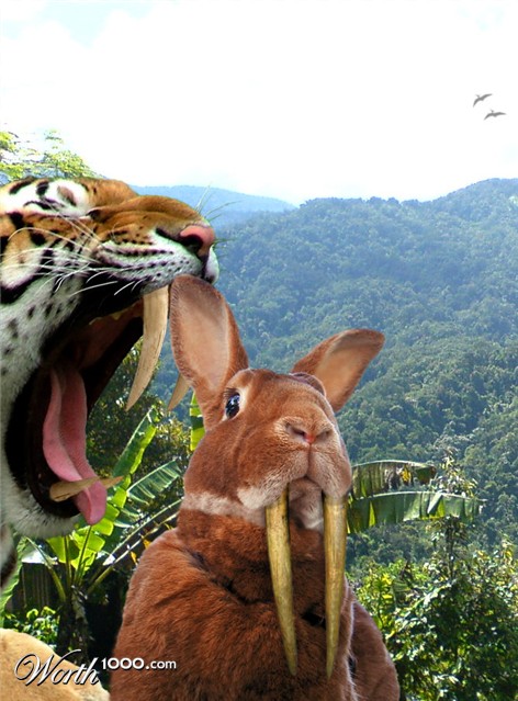 Photoshop Design by ManipUL8