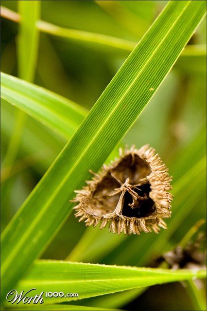 Photography by Pr4ktic