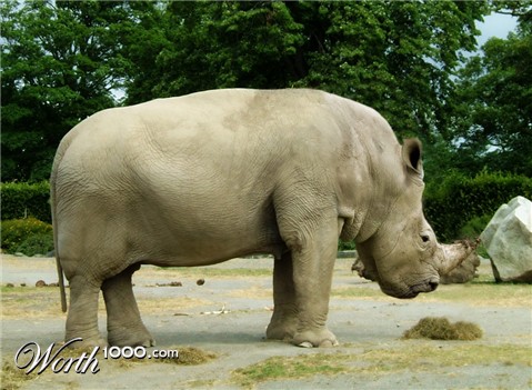 Photoshop Design by Renata33