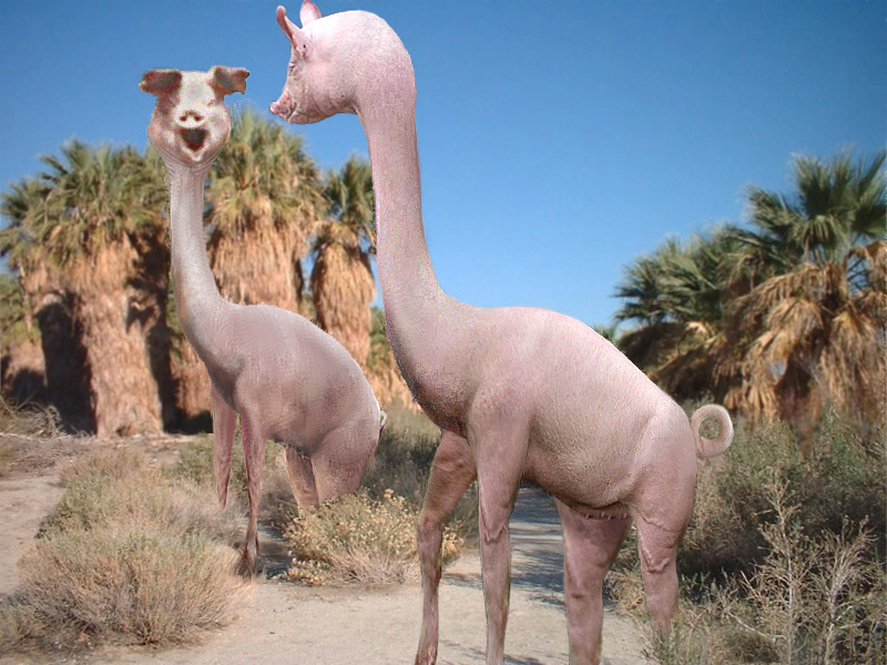 Photoshop-Design von MeRamey für DesignCrowd (Community Contests) | Design #8993466