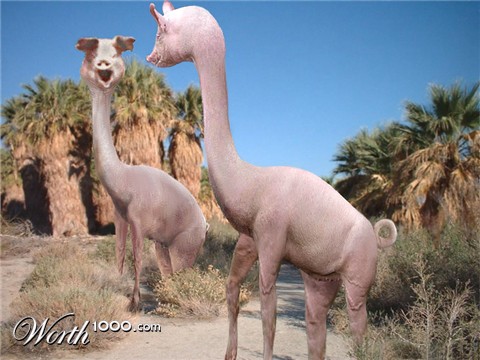 Photoshop Design by MeRamey