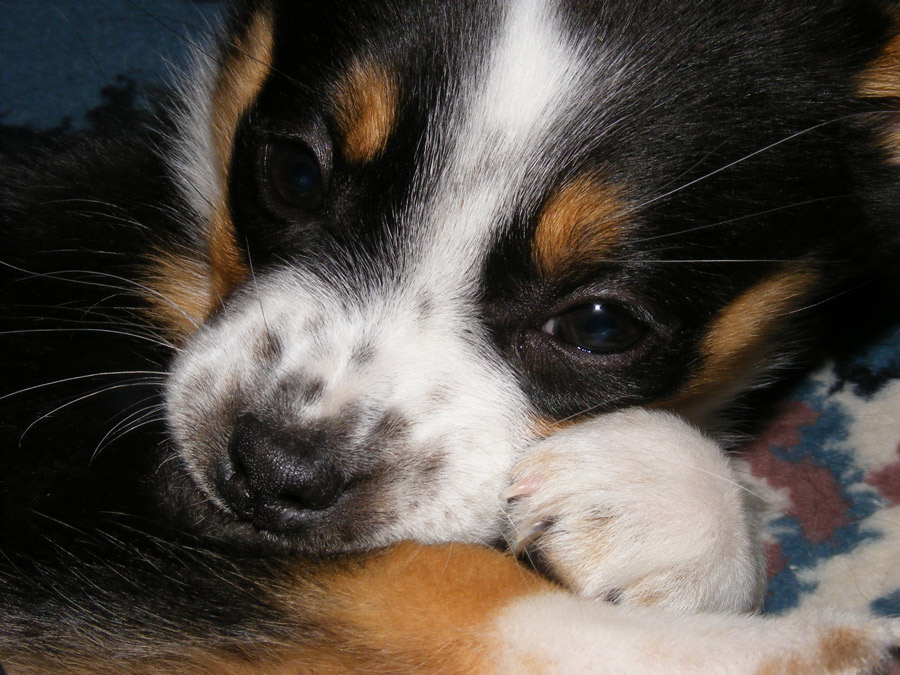 Photography by FamousAsset for DesignCrowd (Community Contests) | Design #8993926