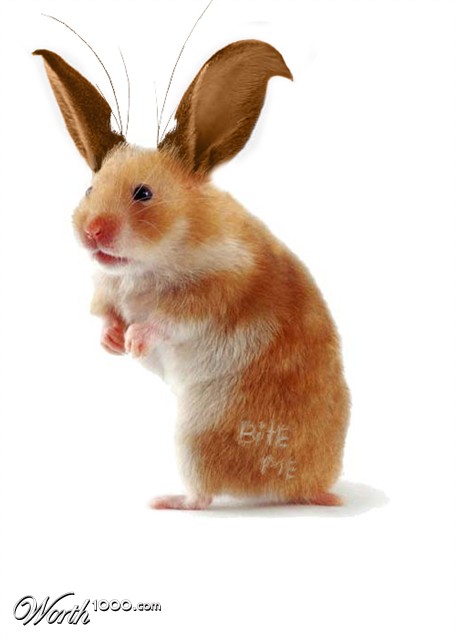 Photoshop Design by subterfuge