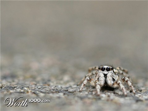 Photography by Rouwkema