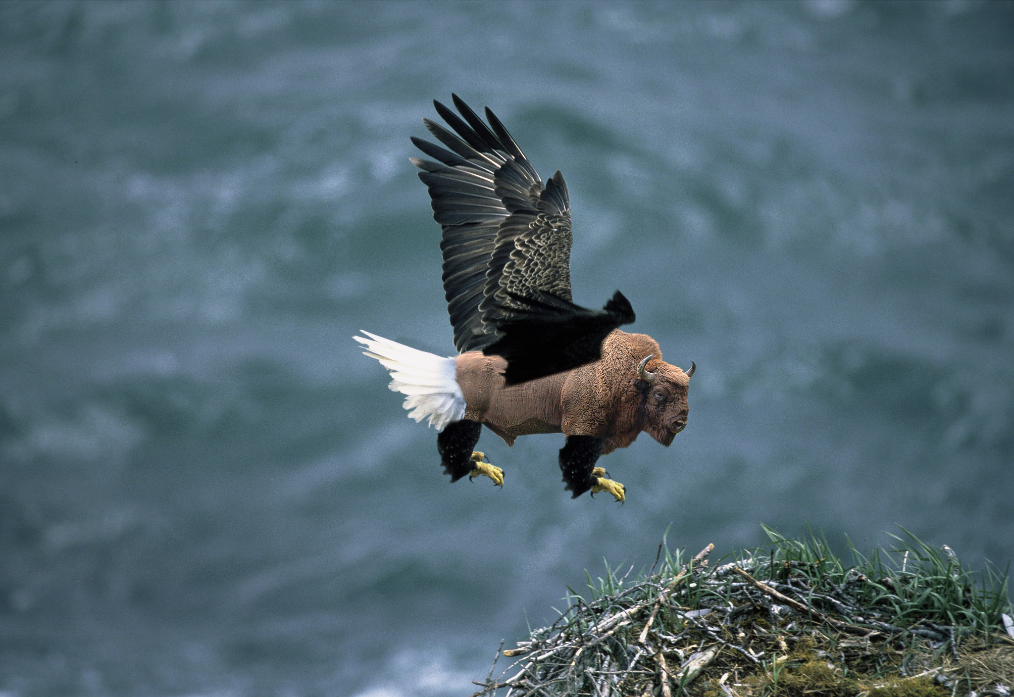 Photoshop Design by gardner3 for DesignCrowd (Community Contests) | Design #8993483