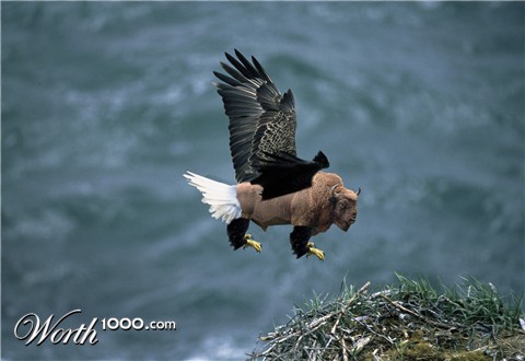 Photoshop Design by gardner3