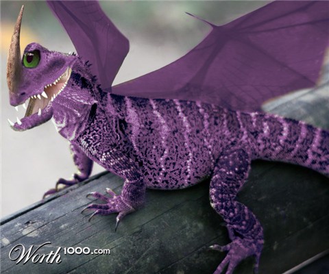 Photoshop Design by jlboucher