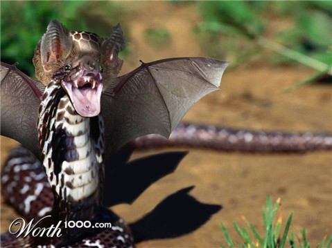 Photoshop Design by clb1122