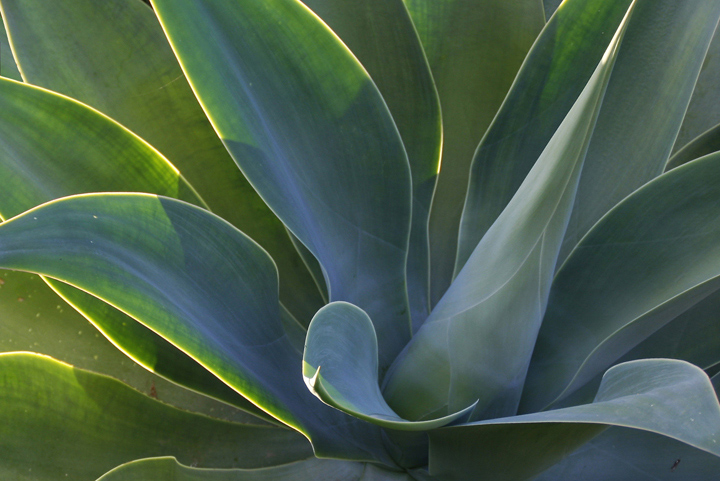 Photography by Marthese for DesignCrowd (Community Contests) | Design #8993795