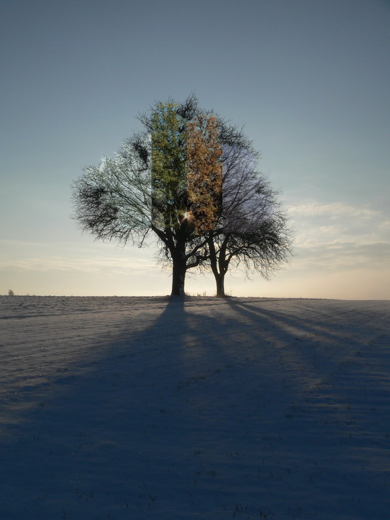 Diseño de Photoshop por Heiko813 para DesignCrowd (Community Contests) | Diseño #8996055