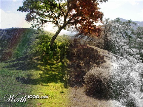 Photoshop Design by darkchi