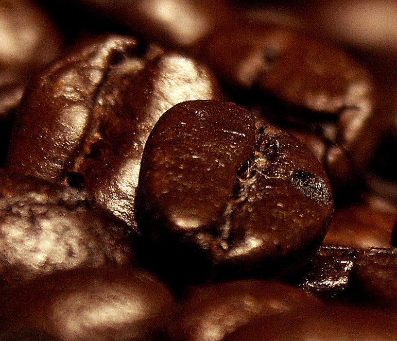 Photographie par learn2swim96 pour DesignCrowd (Community Contests) | Design #8993906