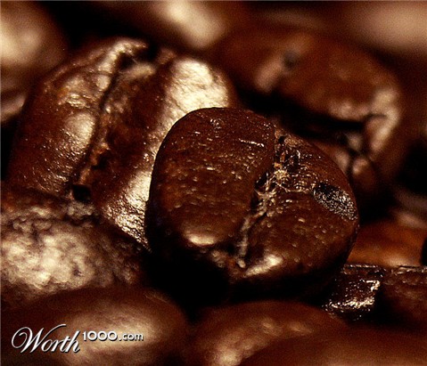 Photography by learn2swim96