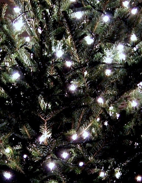 Photography by planetgazer for DesignCrowd (Community Contests) | Design #8993955