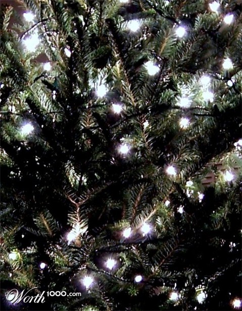 Photography by planetgazer