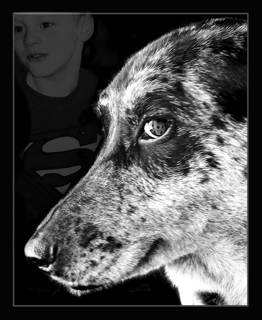 Photography by GoldenWreckedAngle for DesignCrowd (Community Contests) | Design #8998494