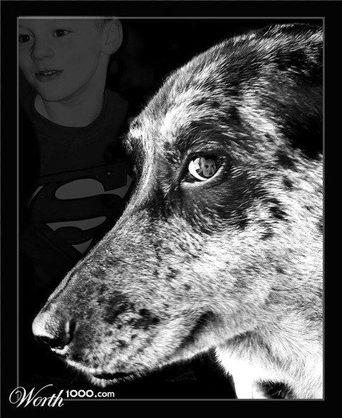 Photography by GoldenWreckedAngle