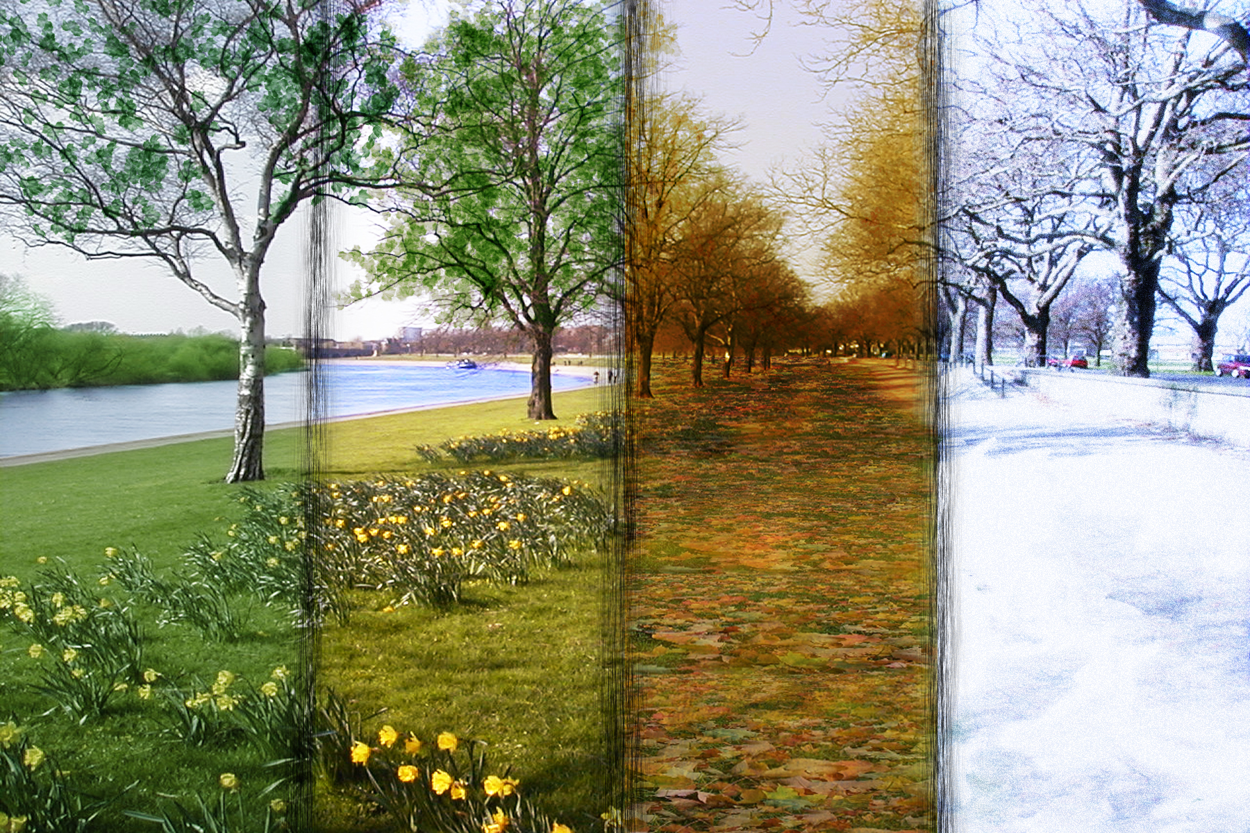 Diseño de Photoshop por levithemagicguy para DesignCrowd (Community Contests) | Diseño #8996065