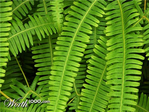 Photography by crattay21cuc