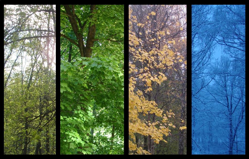 Photoshop Design by Andrea16 for DesignCrowd (Community Contests) | Design #8996070