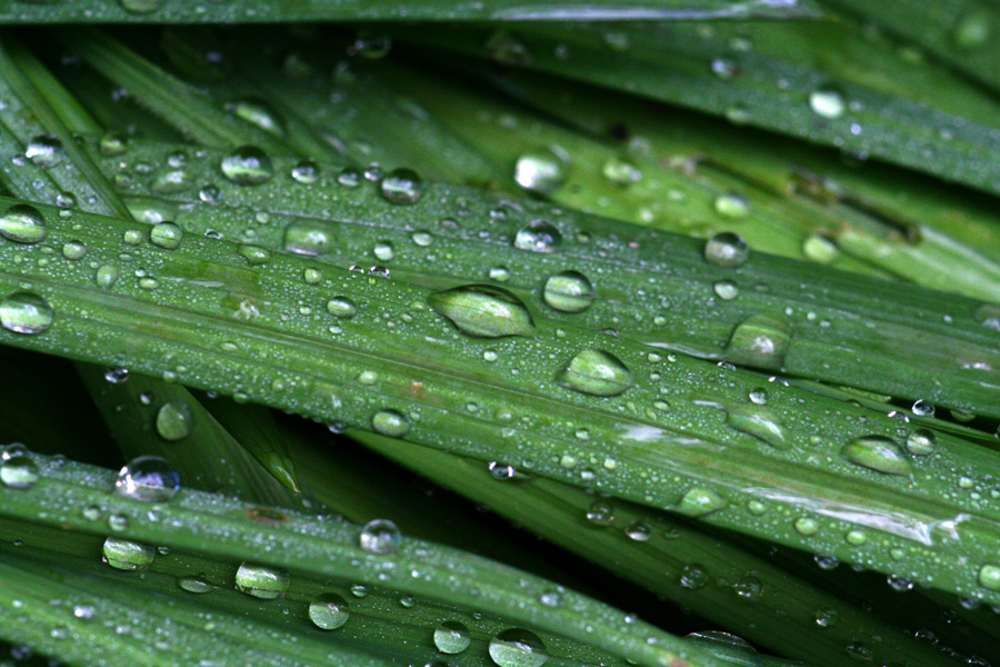 Photographie par maas2000 pour DesignCrowd (Community Contests) | Design #8990853