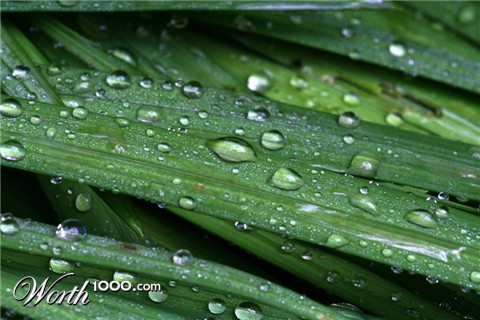 Photography by maas2000