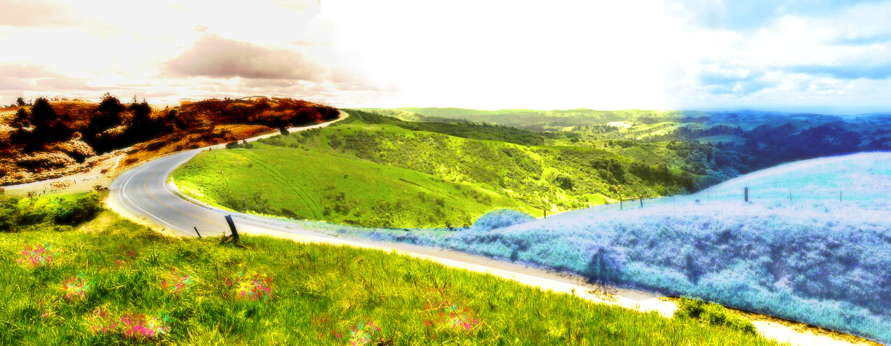Photoshop Design by DixieNica for DesignCrowd (Community Contests) | Design #8996112
