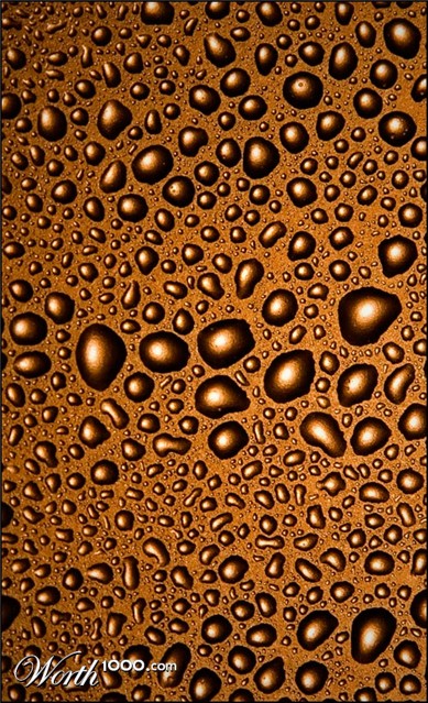 Photography by mated1976