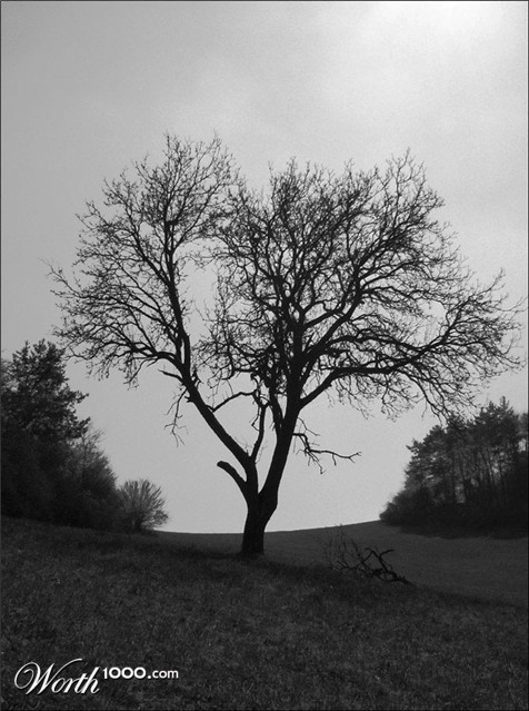 Photography by Antharon