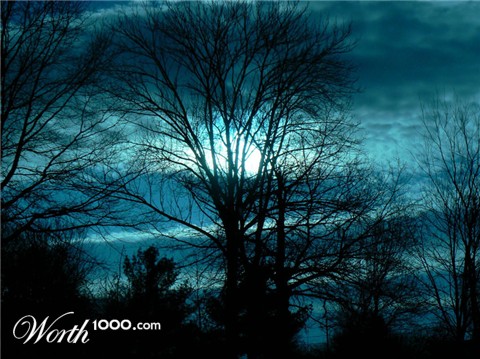 Photography by andresc78
