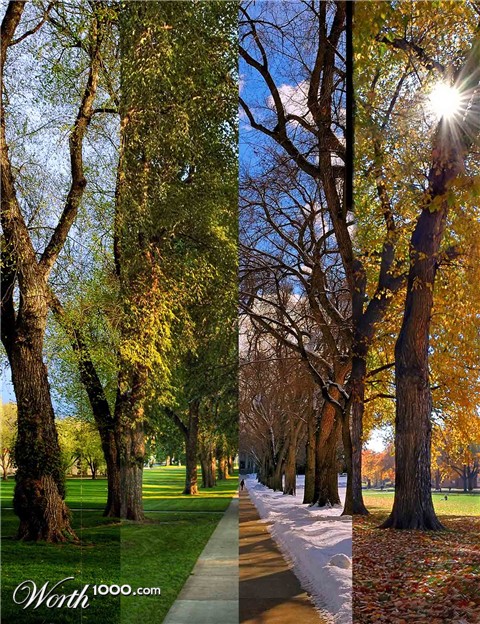 Photoshop Design by loopyluv