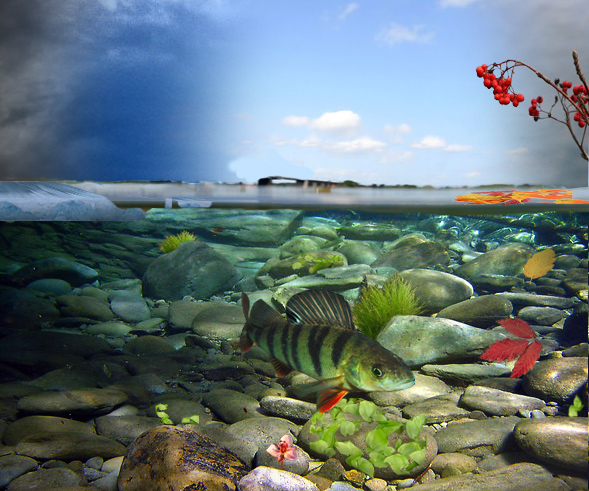 Photoshop Design by Nonian for DesignCrowd (Community Contests) | Design #8996108