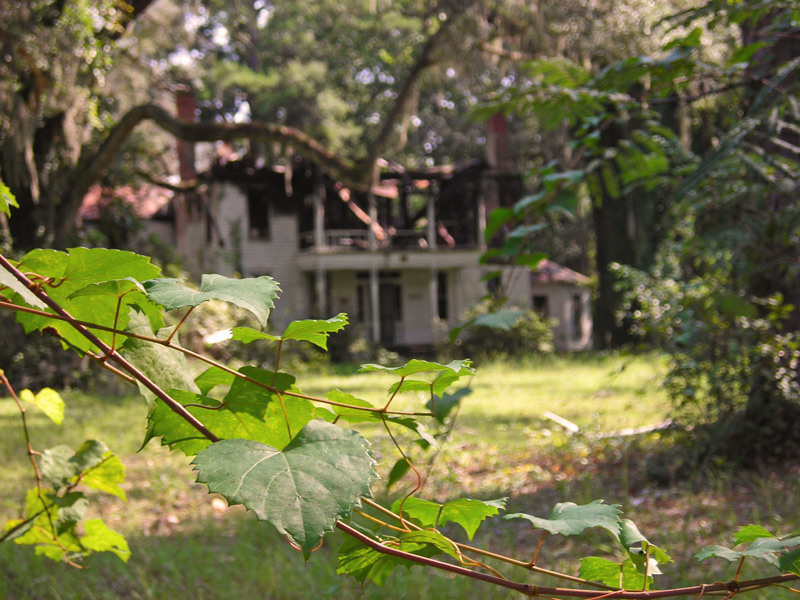 Photographie par cicisunflower pour DesignCrowd (Community Contests) | Design #8990845