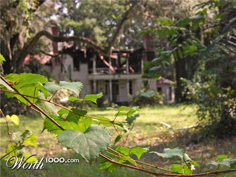 Photography by cicisunflower